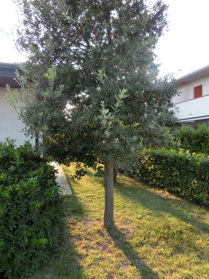 Villa Federica 比比翁 外观 照片